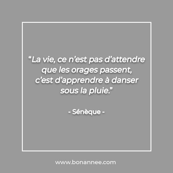 citation bonne année Sénèque