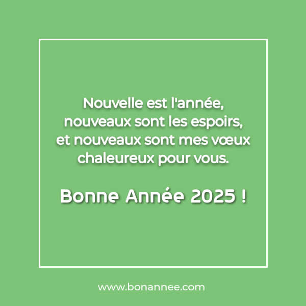 message voex famille bonne année