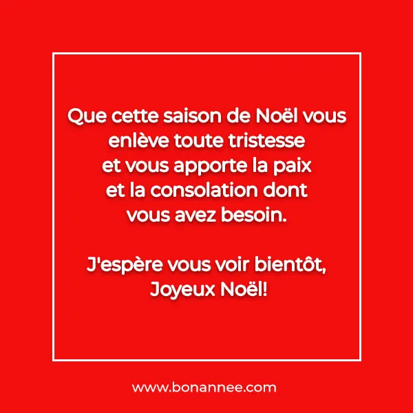 message voeux saison de Noël